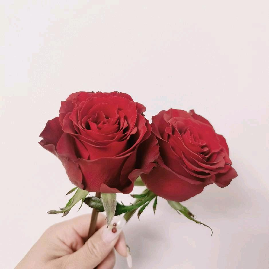 糖果