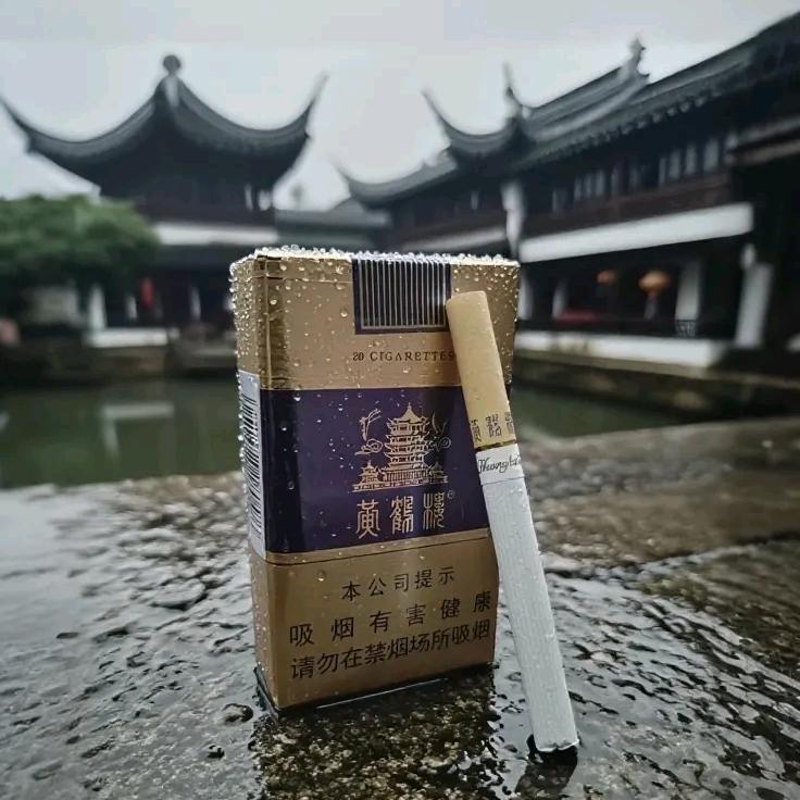 困得睡不着🐾