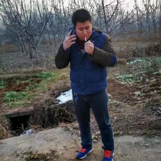 ZTH志良蔬菜批发427