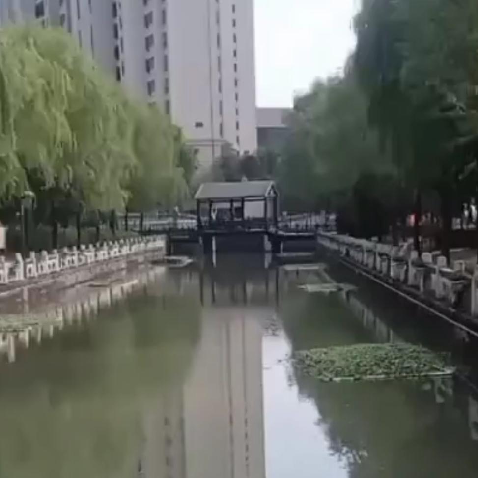 honghaizhang