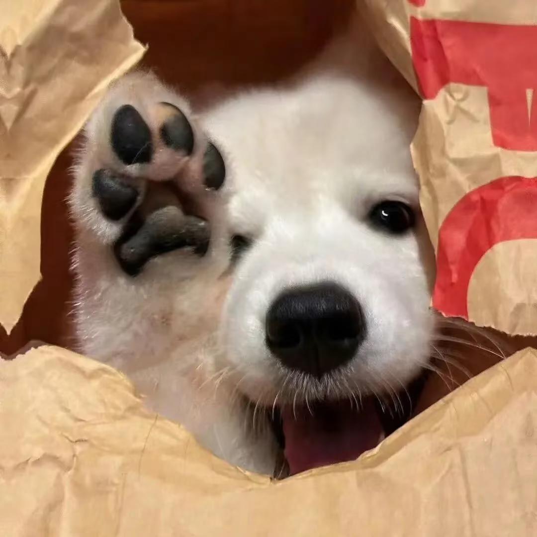小坏