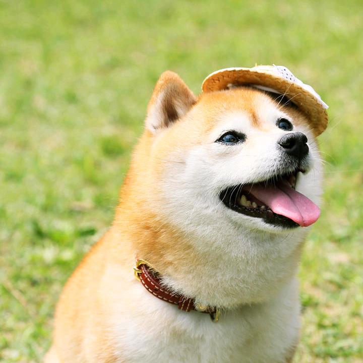 ω