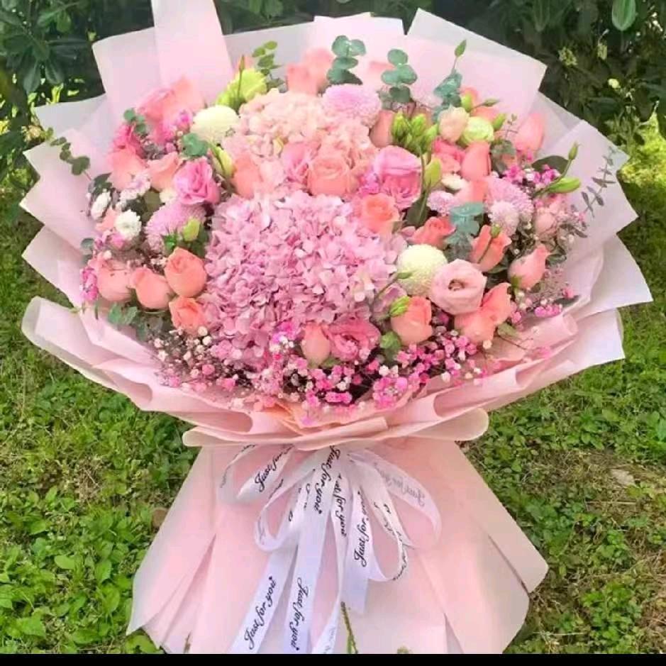 喜欢哥💕👭