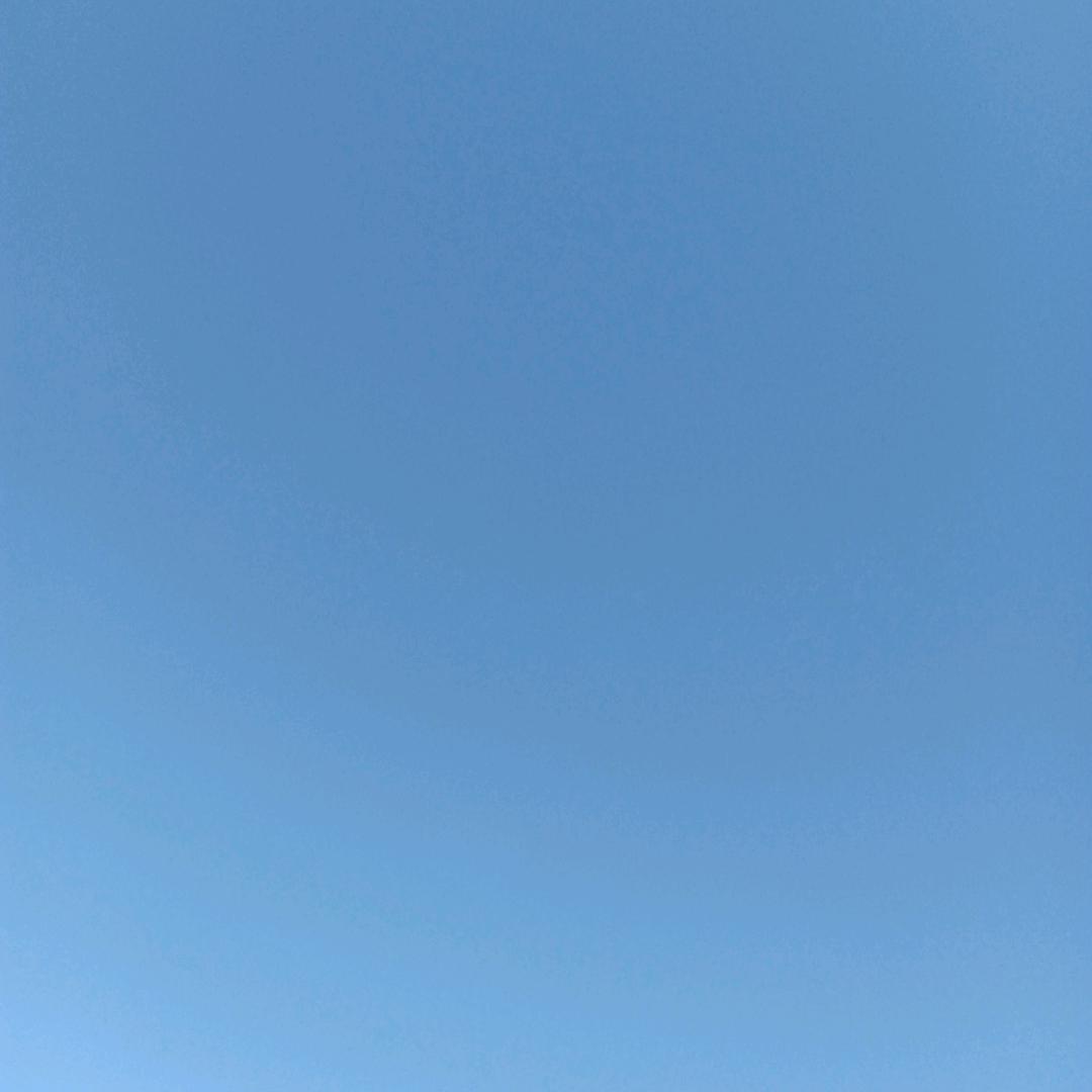 二哥