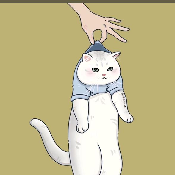 小猫敏慧🐱