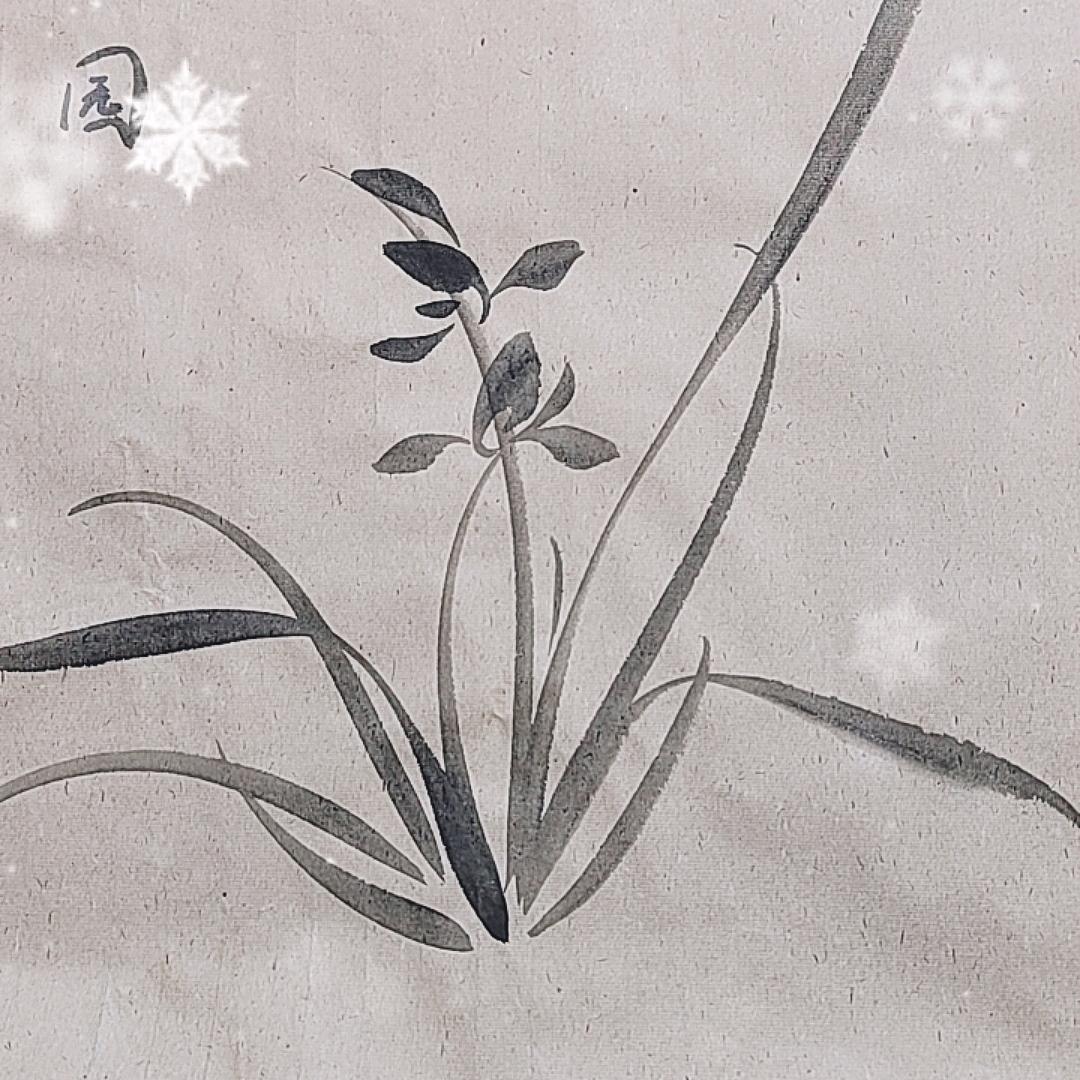 六盘水君愿兰园