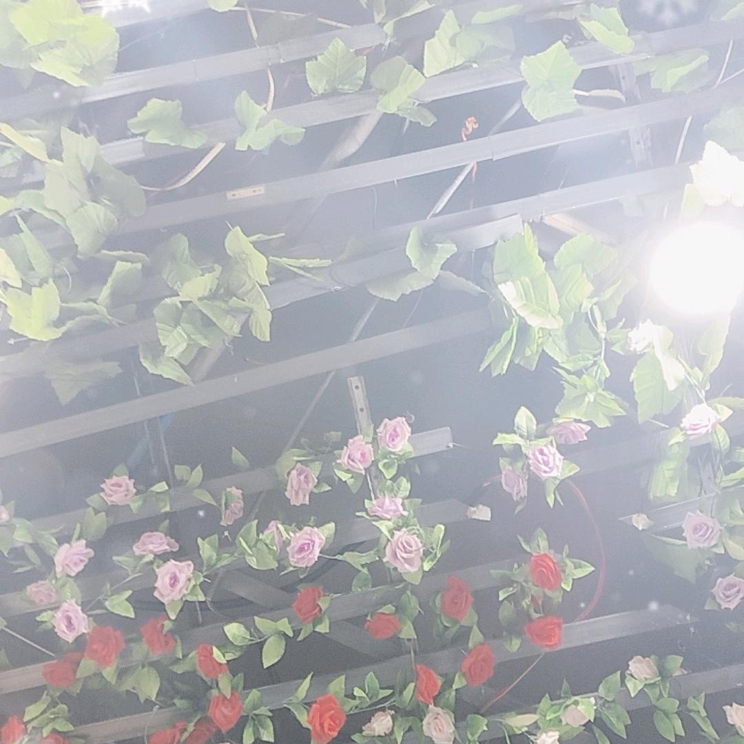 小惠