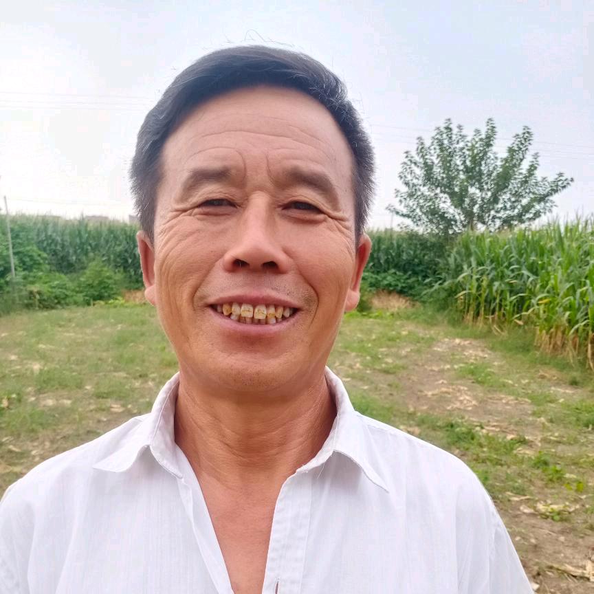 赵南式