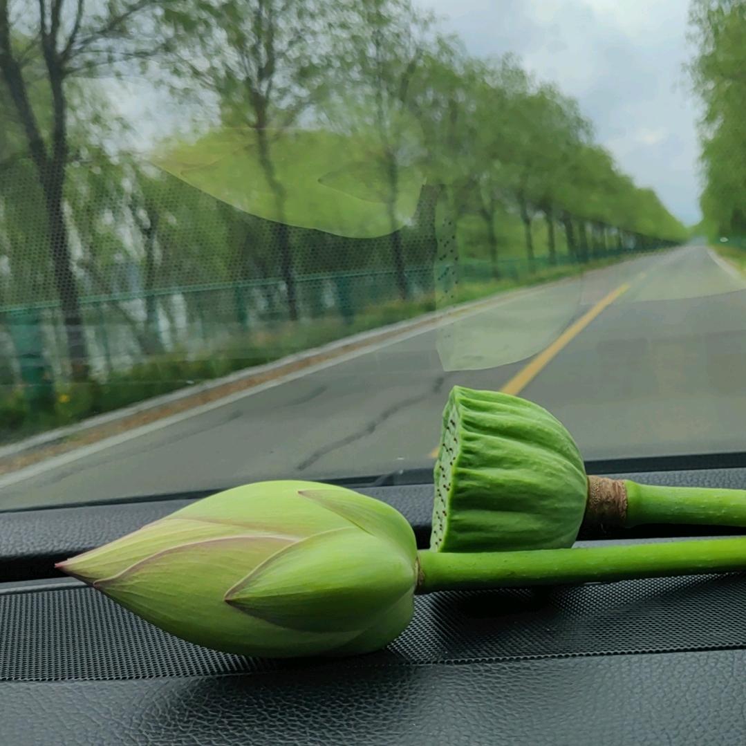 谁也不是谁的谁