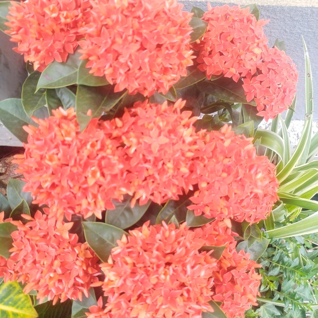 随遇而安💐💐