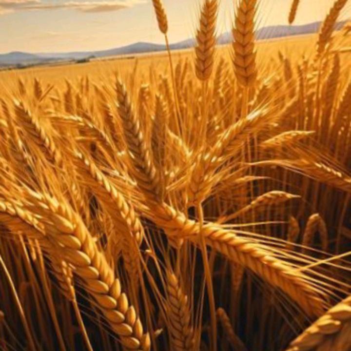 一年更比一年好