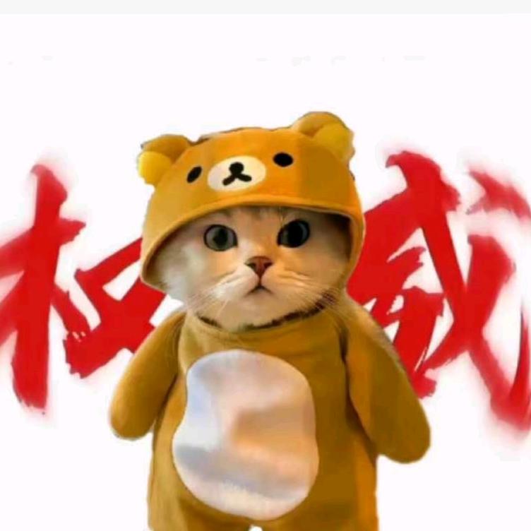 虎虎呀