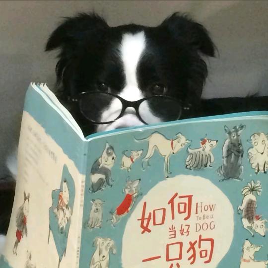 冰鲜柠檬水爆炒肥肠