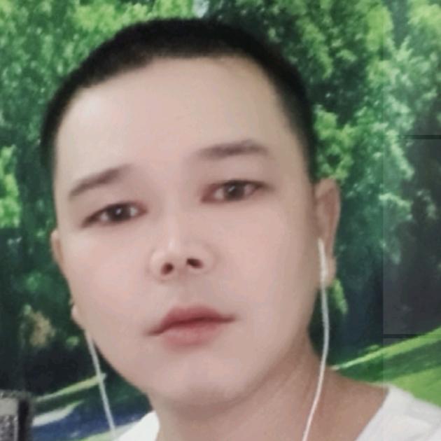 自由如风