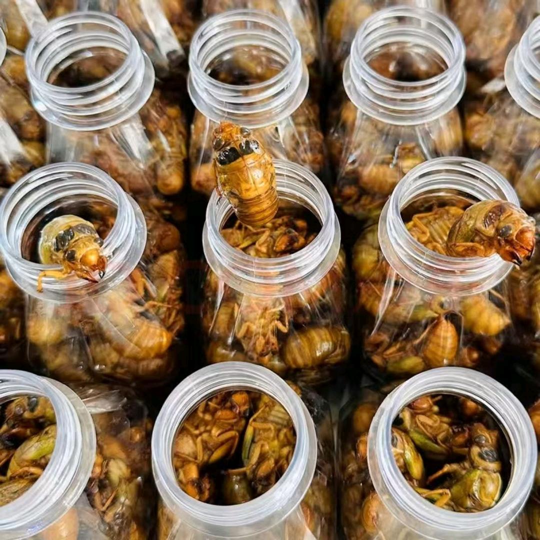 鑫烁农场鲜品甄选