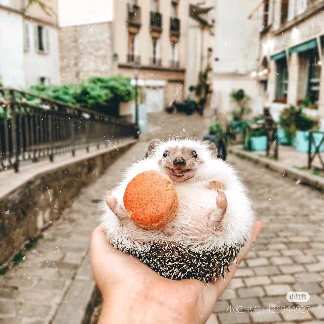 晾干的蓝色外套