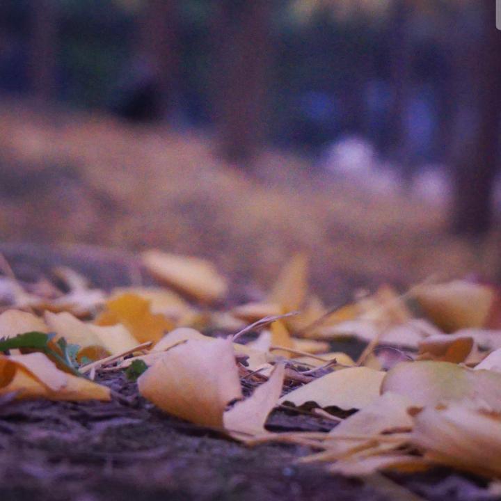 传奇狂暴