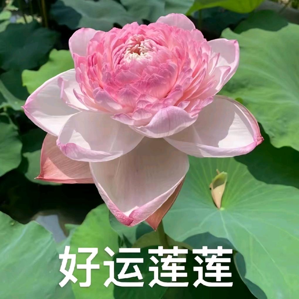 晓果智学-龙华实验校区（逆袭版）