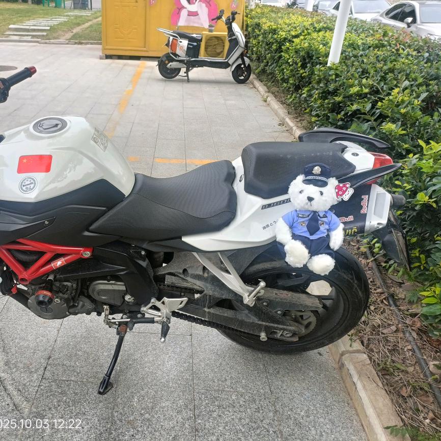 河南南阳新疆乌鲁木齐