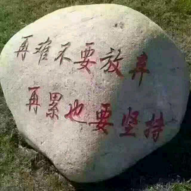 柿柿如意