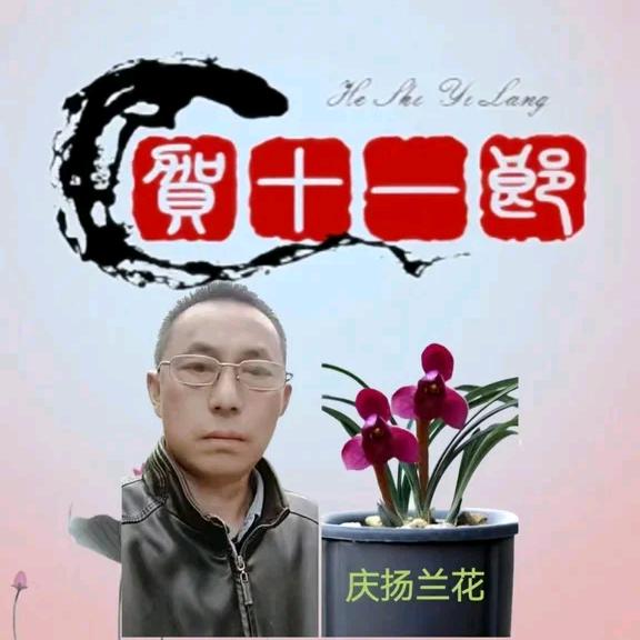 庆扬农场（H十一郎）