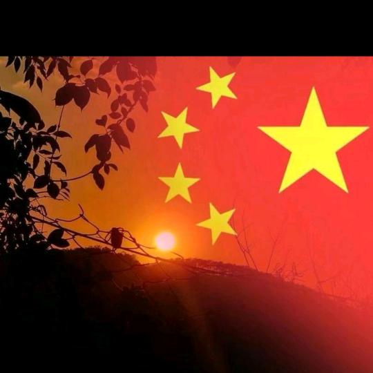 河南3弟