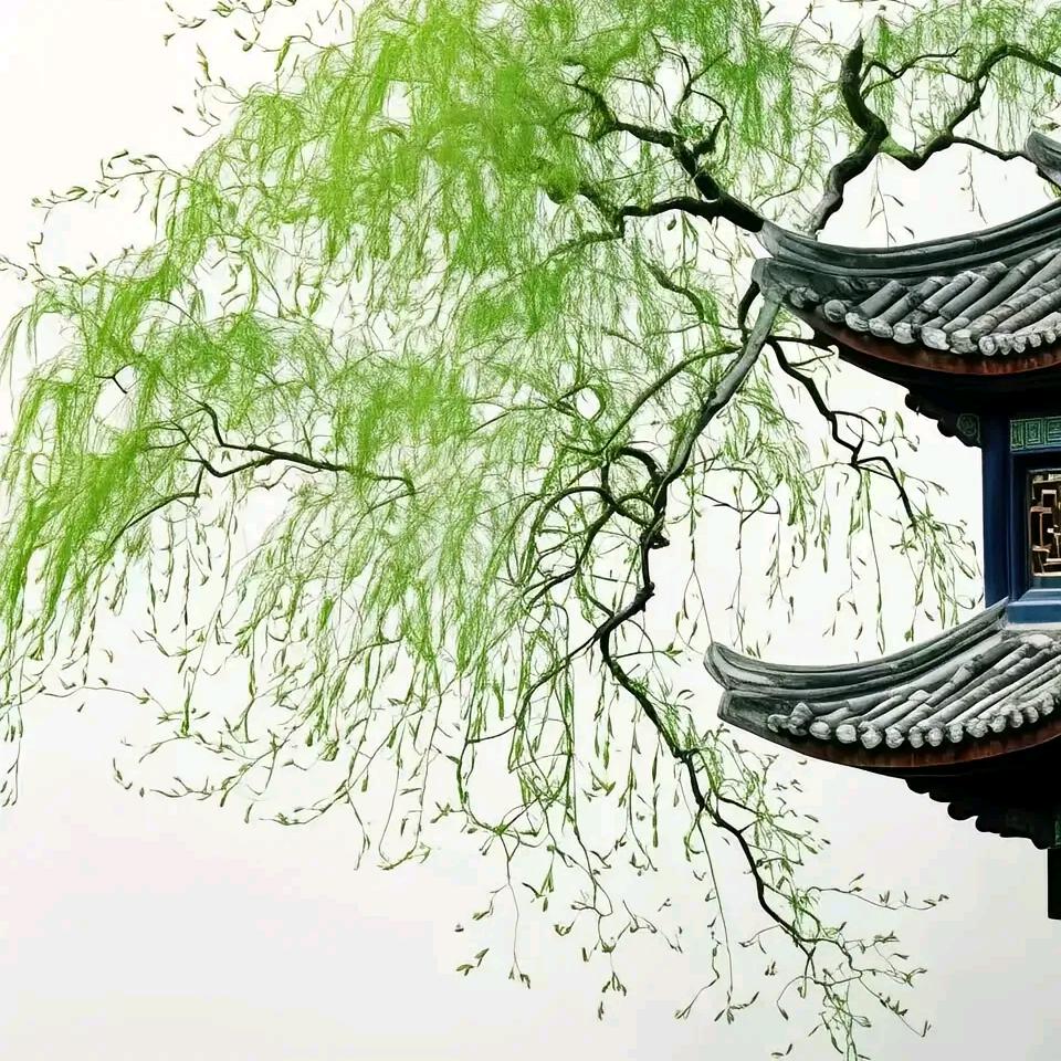 龙哥