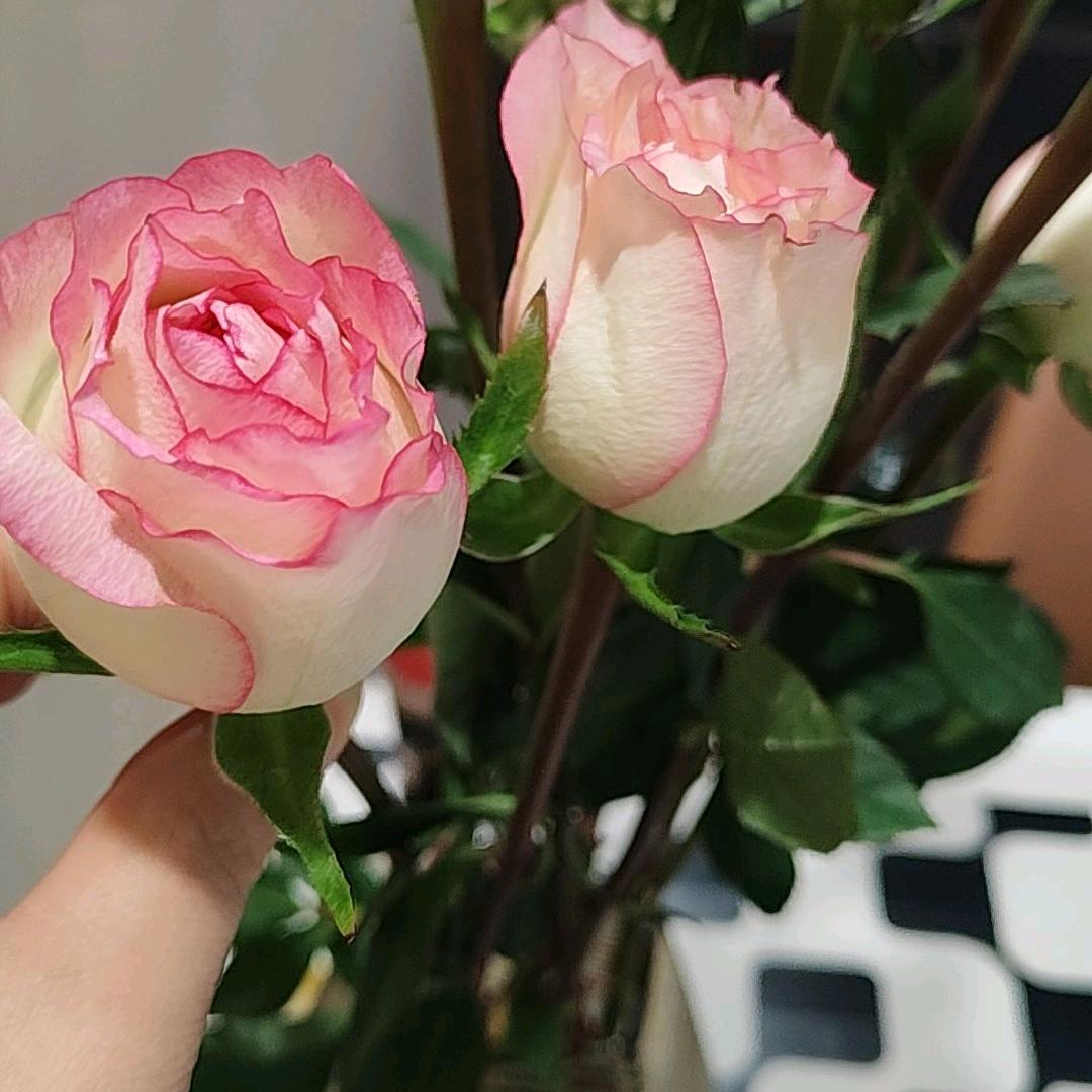 @洋洋！