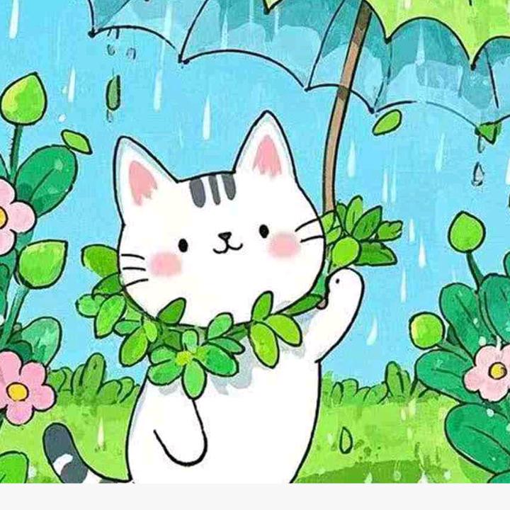 水上漂