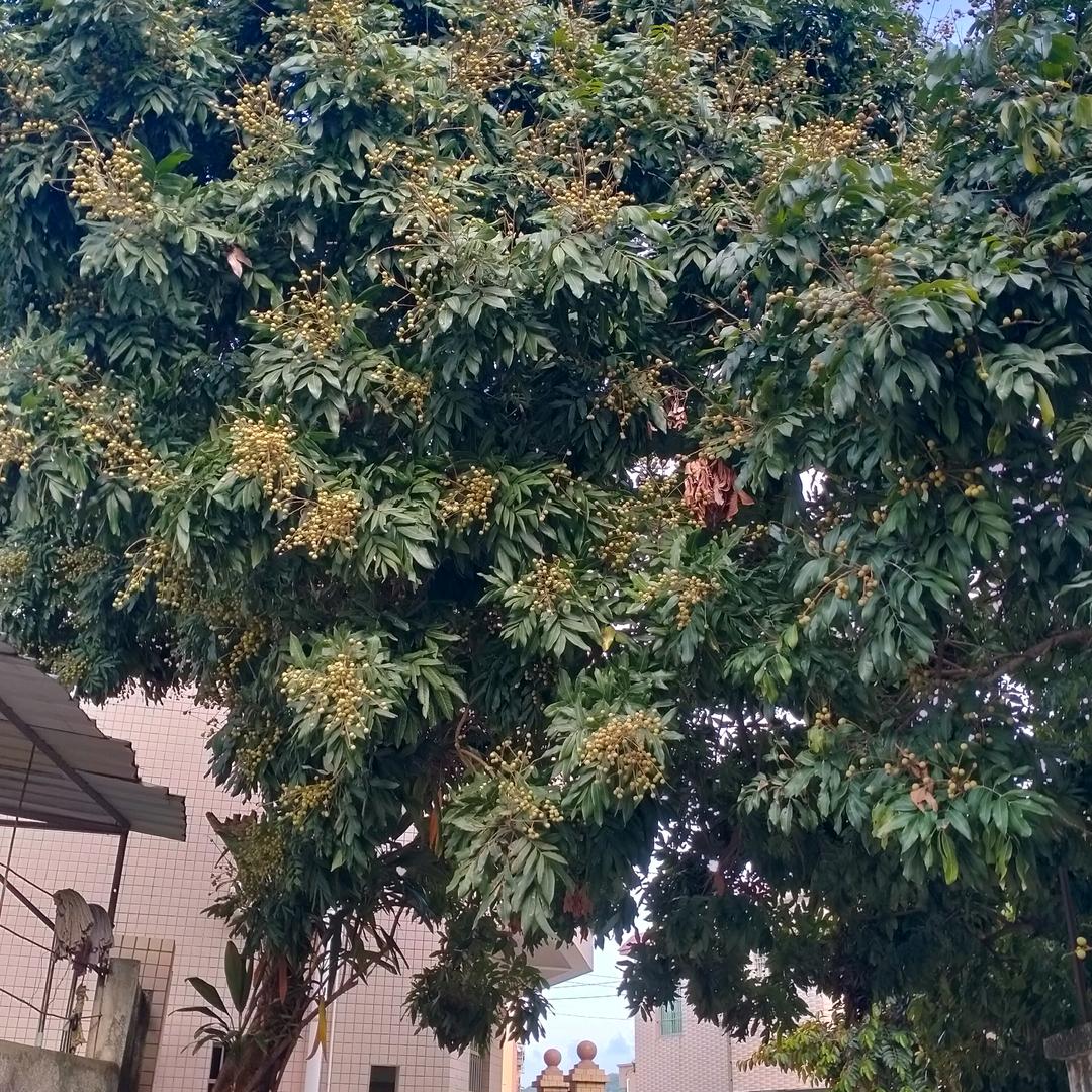 拼搏