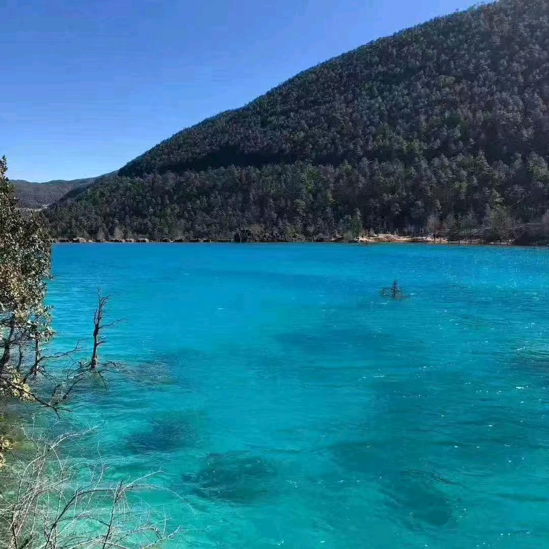 岁月阳光