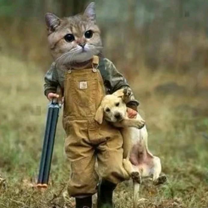 照亮了谁的背影