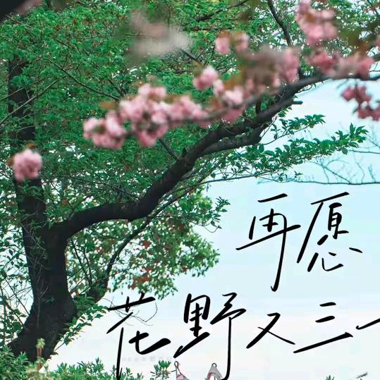 怀远货车👉元哥👈