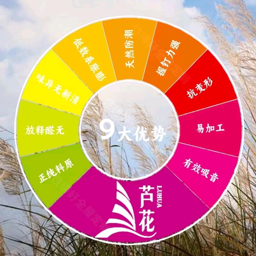 老马—定制门墙柜
