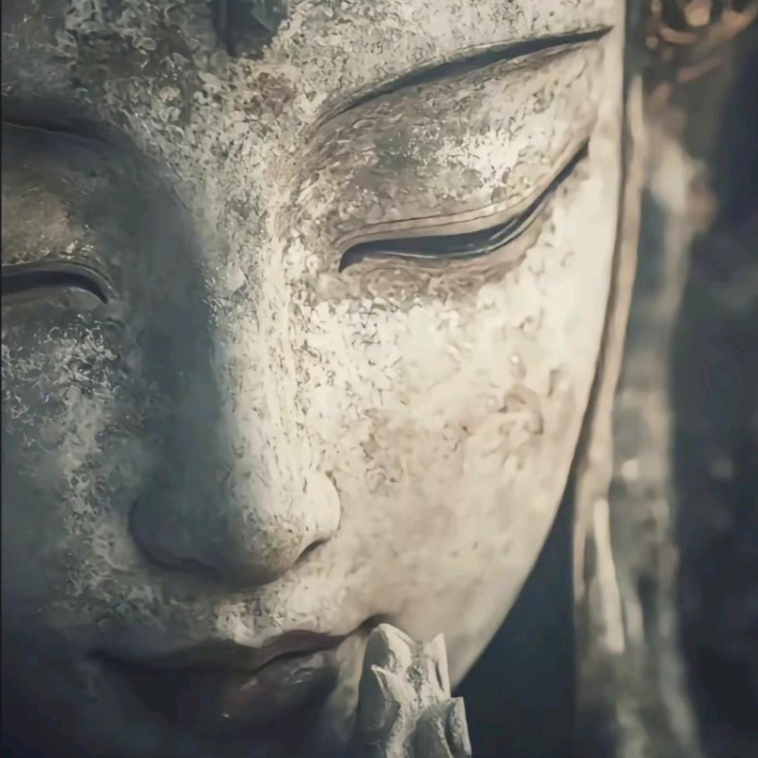 贺.