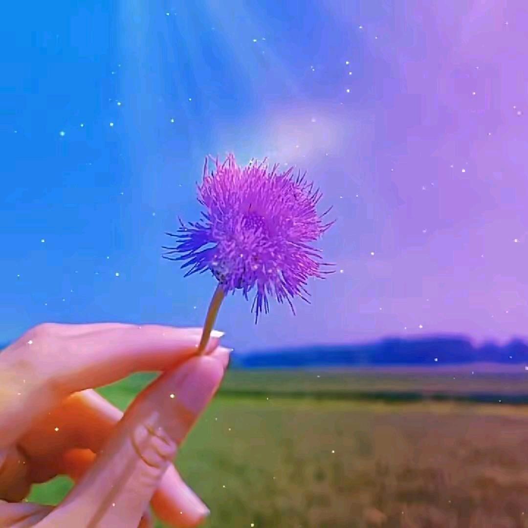 🌸樱🍒红了💋