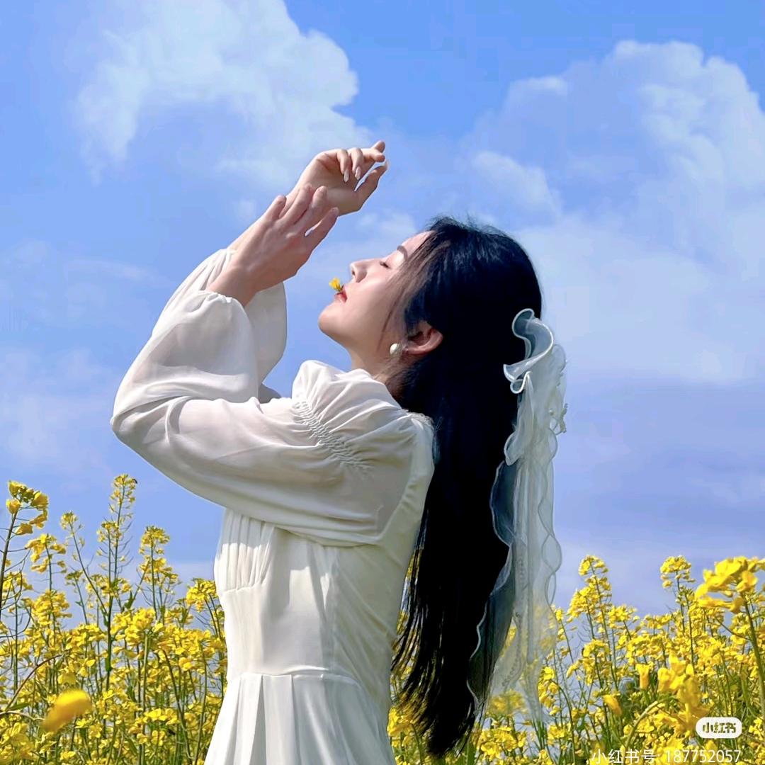 溪鱼逐月