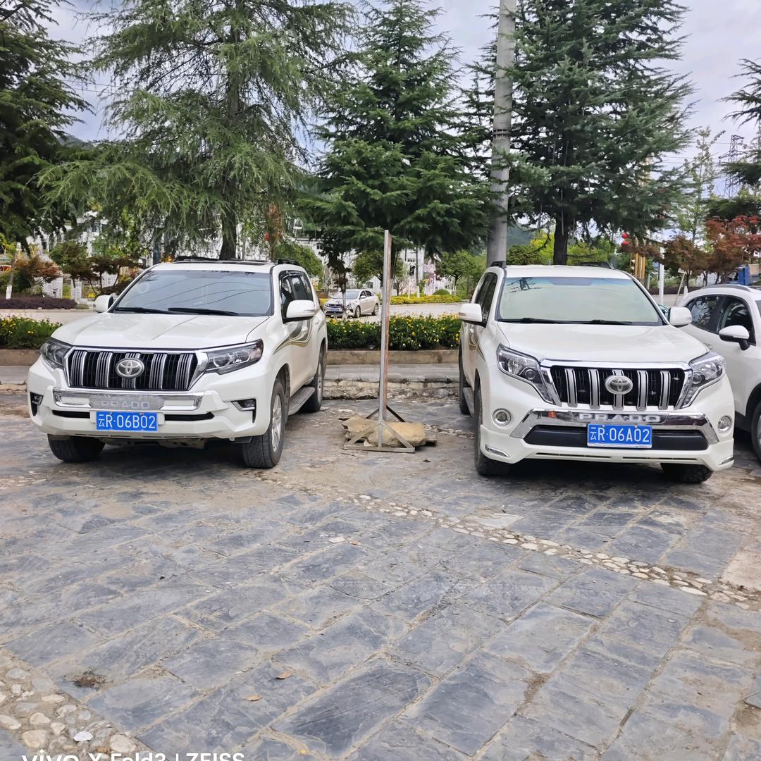 迪庆纳西茸→车之恋②手车--楊成