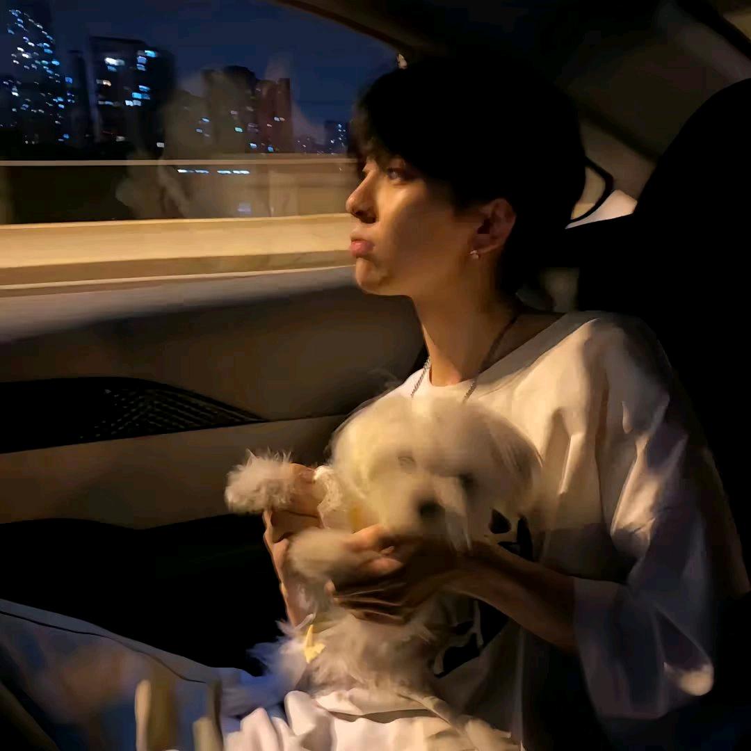 13y（直播三角洲）