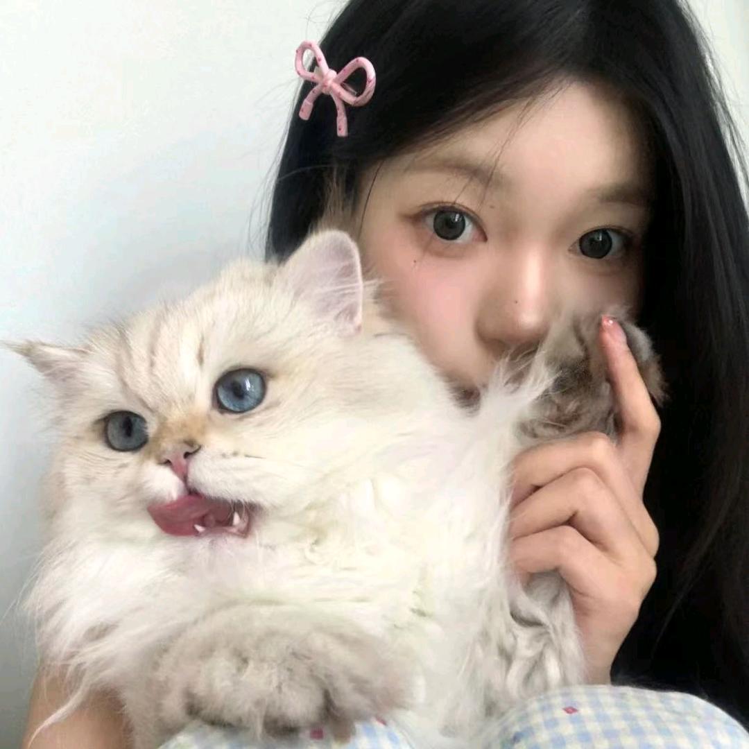 多米￥