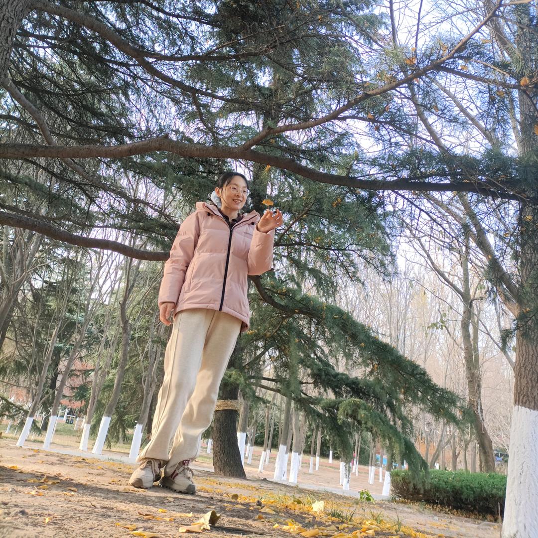 🌾🌾蒲公英🌾🌾