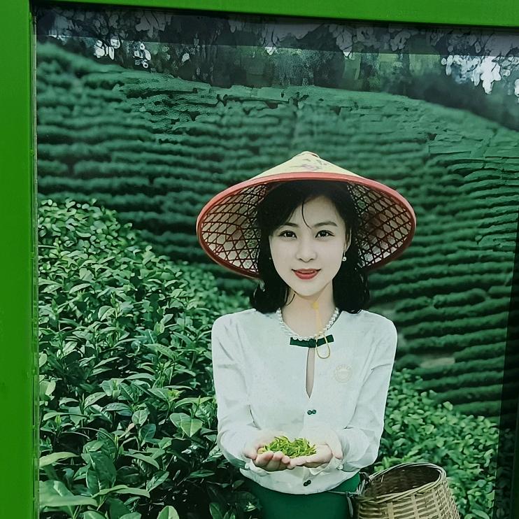 董家岭娘娘山竹山坡茶叶种植合作社