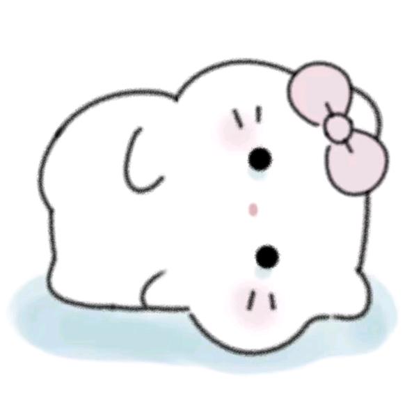 小狸花