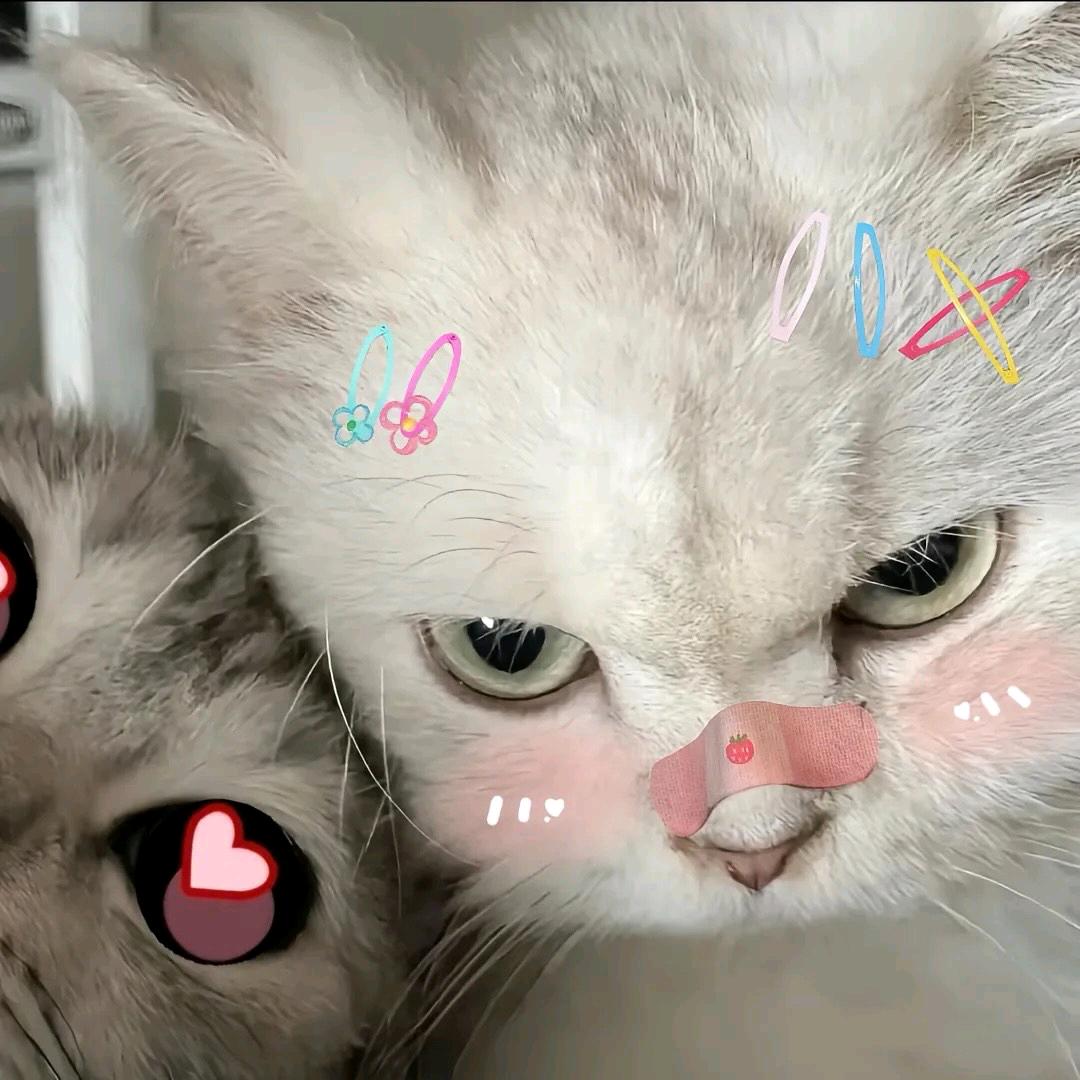 21＾