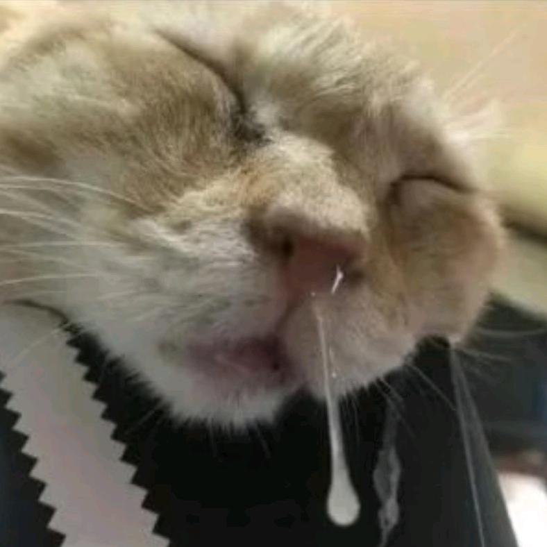 谁的蓝