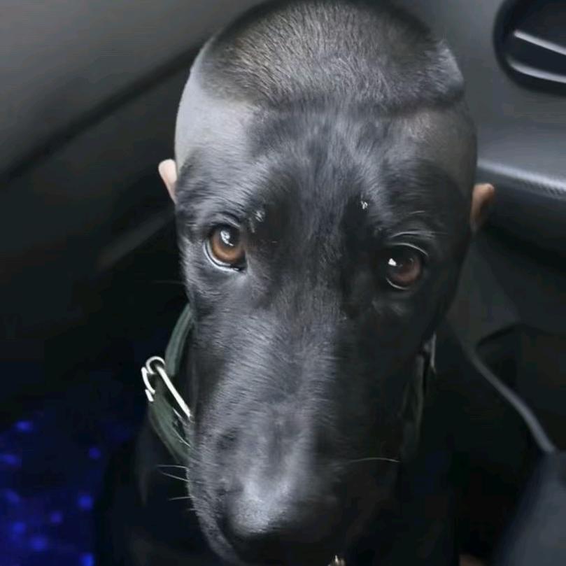 🌈（໑ຼₒ₂₃ღ᭄ꫛ灿꧔