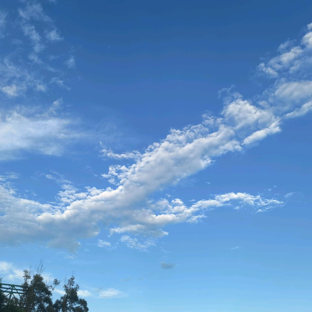 风止何安