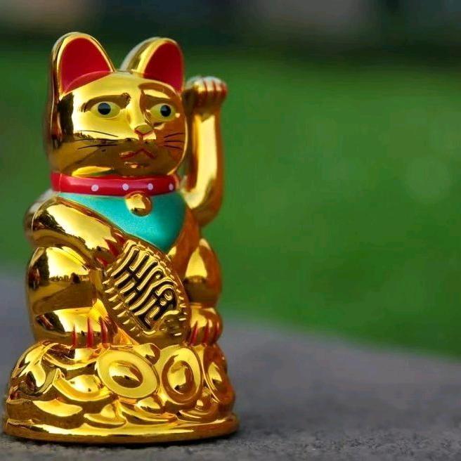 郭明琴