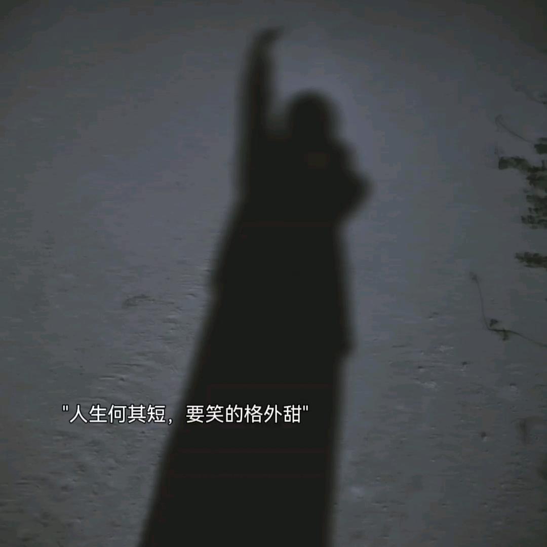 🍀楊🍀（🌻🌻🌻🌻）