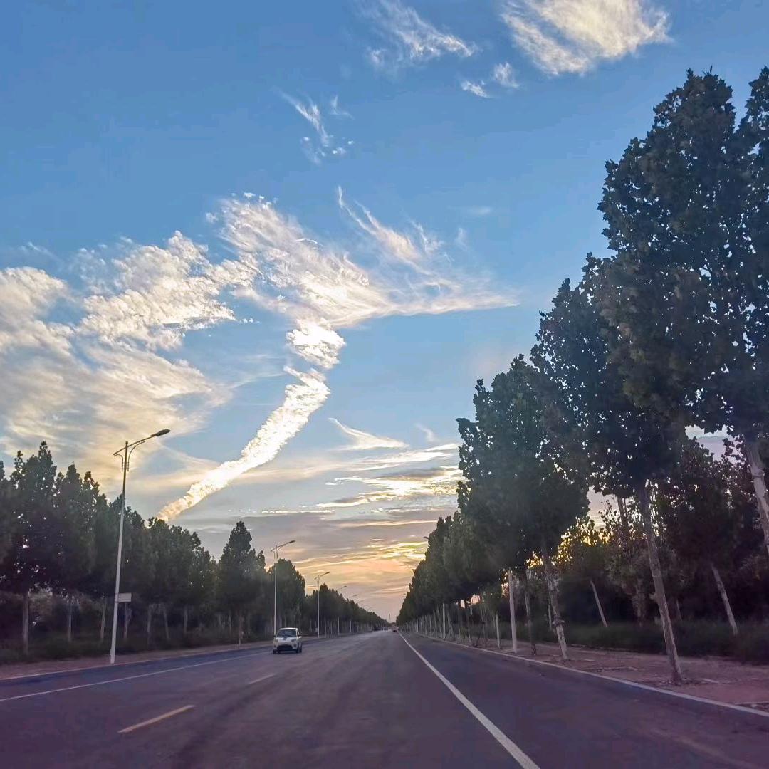 @三伦师兄（正一）